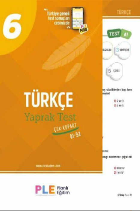 6. Sınıf Türkçe 32 Yaprak Test Birey Yayınları