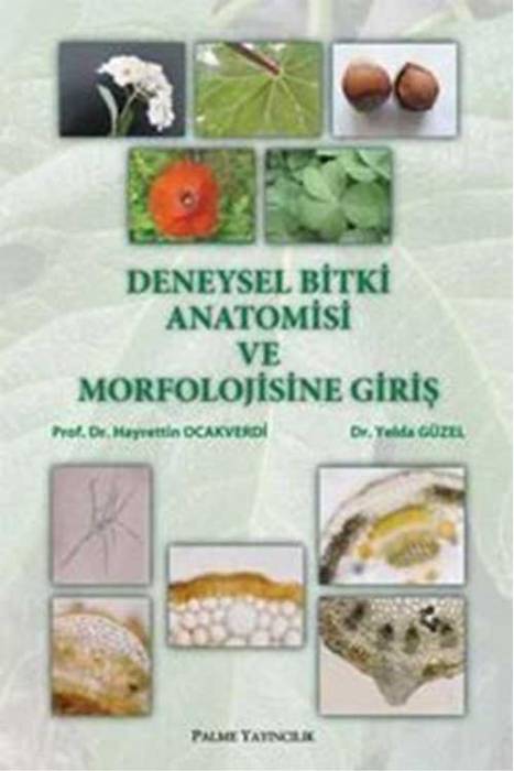 Palme Deneysel Bitki Anatomisi ve Morfolojisine Giriş Palme Yayınevi